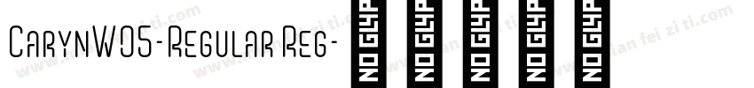 CarynW05-Regular Reg字体转换